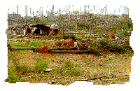 photo of storm damage