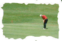 golfer putting on the green golfer putting on the green
