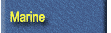 Marine