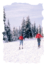 skiers skiers