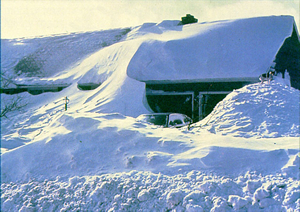 house covered with snow drifts